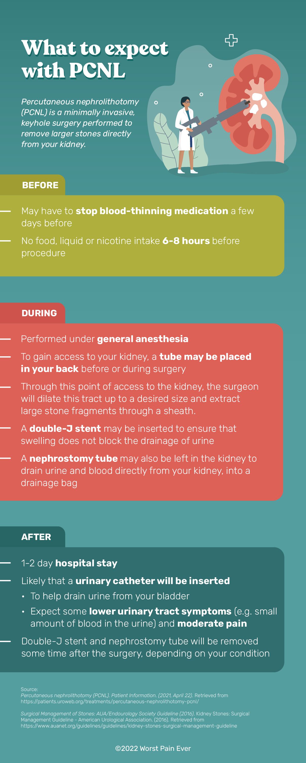 PCNL procedure